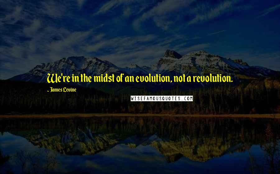 James Levine Quotes: We're in the midst of an evolution, not a revolution.