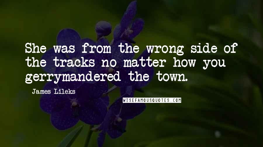 James Lileks Quotes: She was from the wrong side of the tracks no matter how you gerrymandered the town.