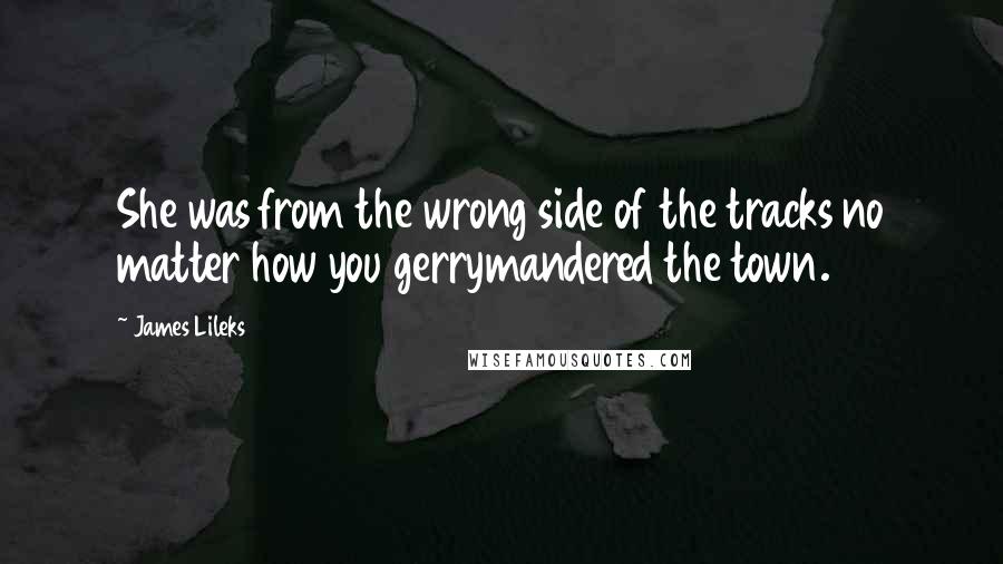 James Lileks Quotes: She was from the wrong side of the tracks no matter how you gerrymandered the town.