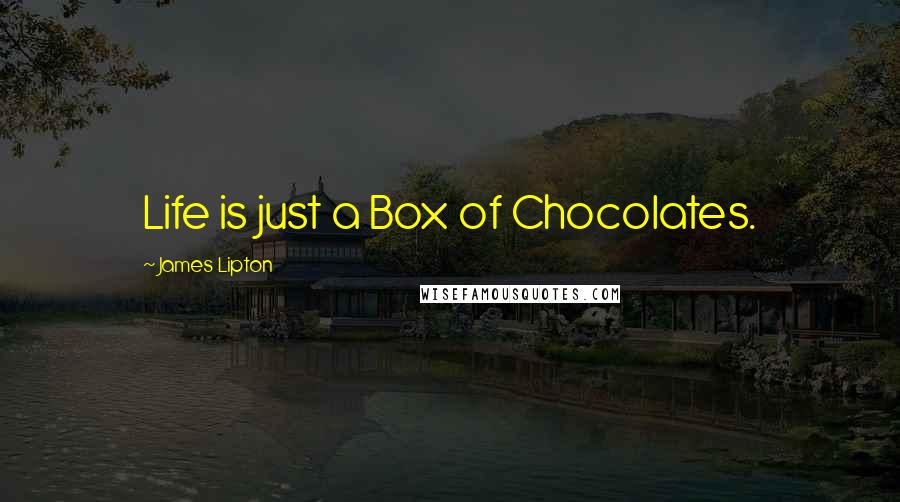 James Lipton Quotes: Life is just a Box of Chocolates.