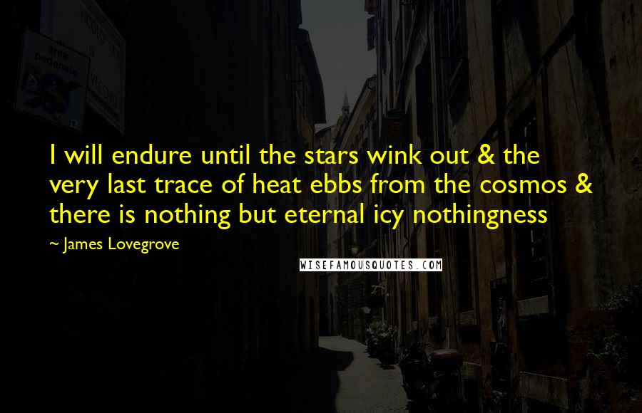 James Lovegrove Quotes: I will endure until the stars wink out & the very last trace of heat ebbs from the cosmos & there is nothing but eternal icy nothingness
