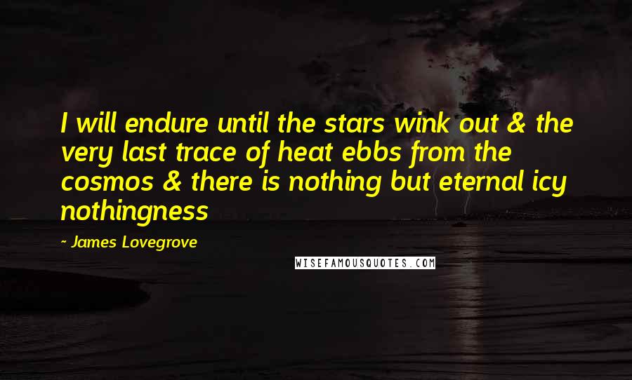 James Lovegrove Quotes: I will endure until the stars wink out & the very last trace of heat ebbs from the cosmos & there is nothing but eternal icy nothingness