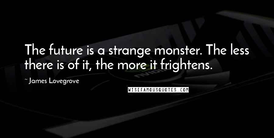 James Lovegrove Quotes: The future is a strange monster. The less there is of it, the more it frightens.