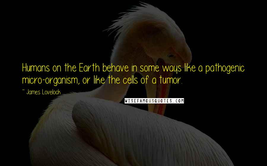 James Lovelock Quotes: Humans on the Earth behave in some ways like a pathogenic micro-organism, or like the cells of a tumor.