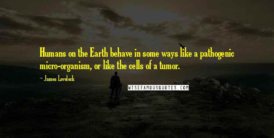 James Lovelock Quotes: Humans on the Earth behave in some ways like a pathogenic micro-organism, or like the cells of a tumor.