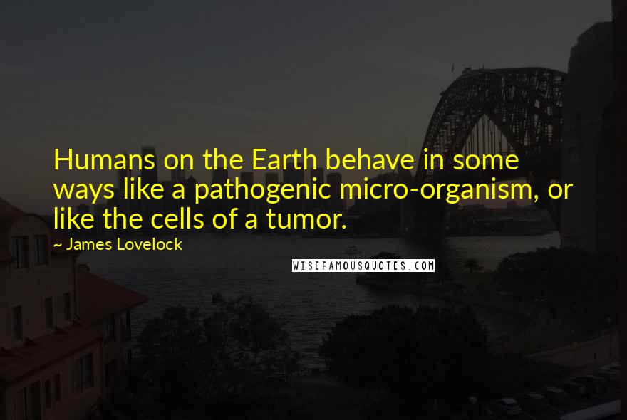 James Lovelock Quotes: Humans on the Earth behave in some ways like a pathogenic micro-organism, or like the cells of a tumor.