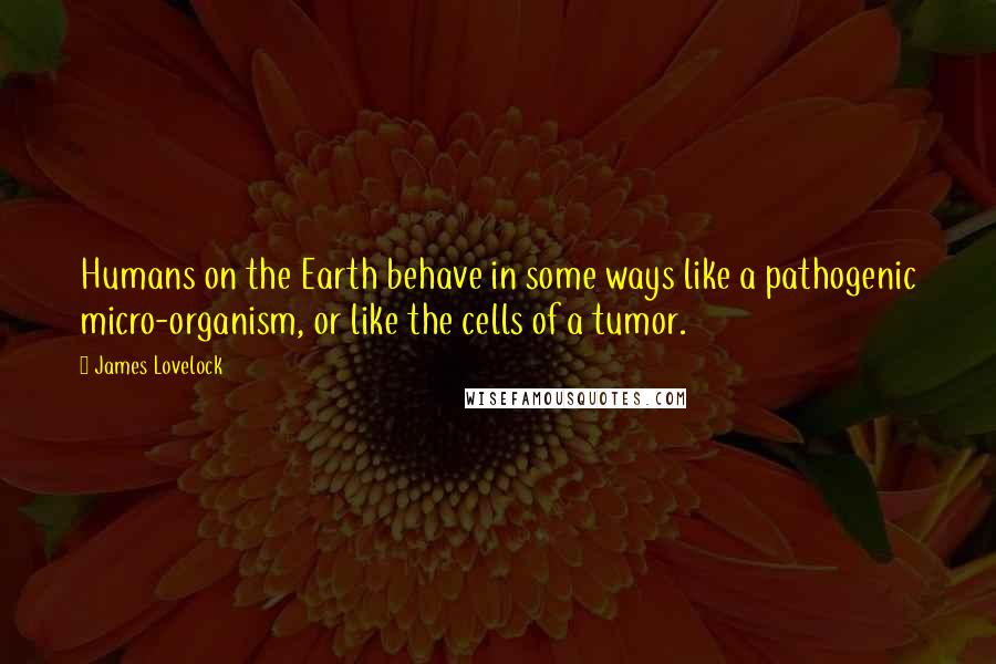 James Lovelock Quotes: Humans on the Earth behave in some ways like a pathogenic micro-organism, or like the cells of a tumor.