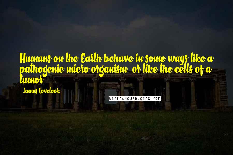 James Lovelock Quotes: Humans on the Earth behave in some ways like a pathogenic micro-organism, or like the cells of a tumor.