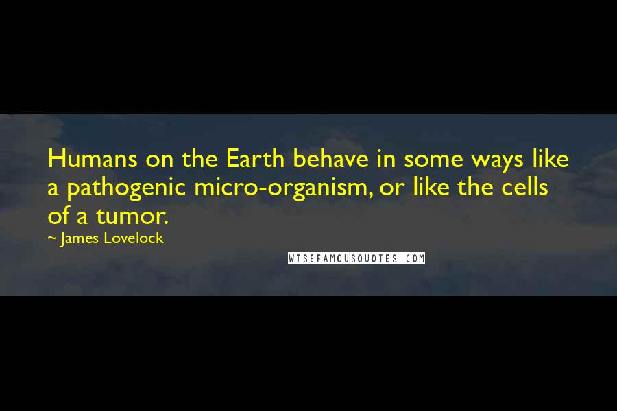 James Lovelock Quotes: Humans on the Earth behave in some ways like a pathogenic micro-organism, or like the cells of a tumor.