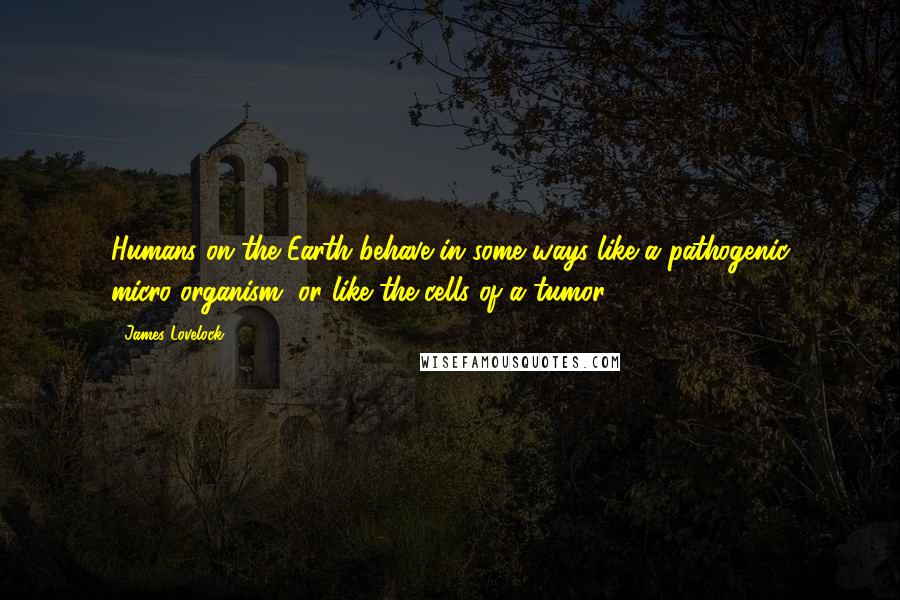 James Lovelock Quotes: Humans on the Earth behave in some ways like a pathogenic micro-organism, or like the cells of a tumor.