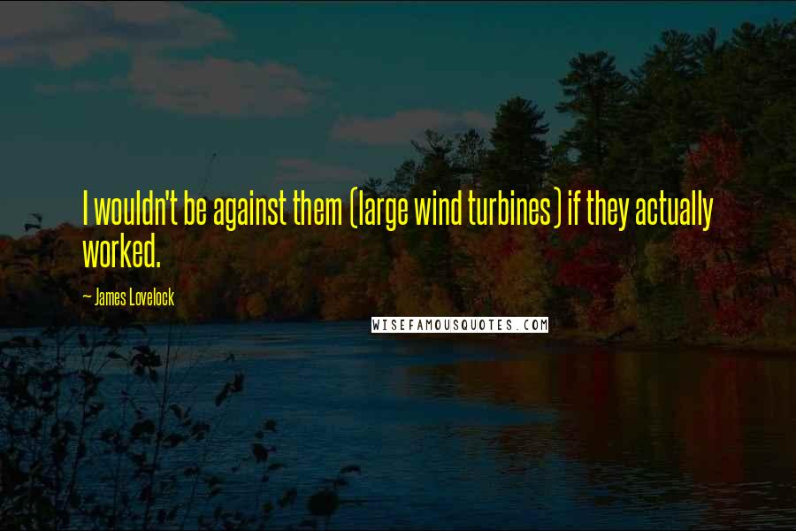 James Lovelock Quotes: I wouldn't be against them (large wind turbines) if they actually worked.