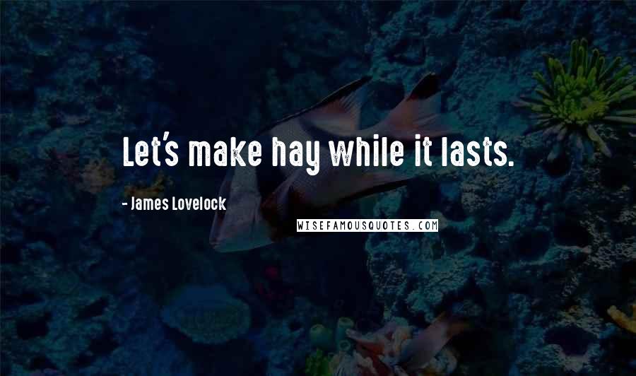 James Lovelock Quotes: Let's make hay while it lasts.