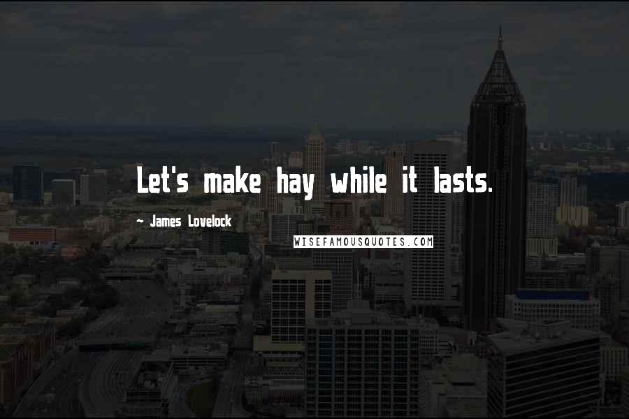 James Lovelock Quotes: Let's make hay while it lasts.