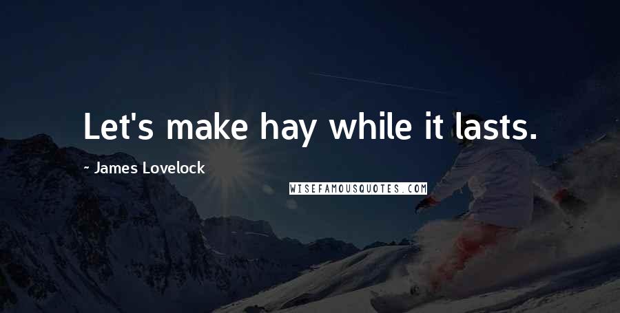 James Lovelock Quotes: Let's make hay while it lasts.