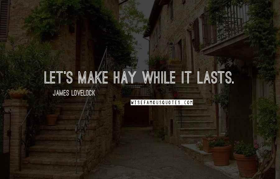 James Lovelock Quotes: Let's make hay while it lasts.