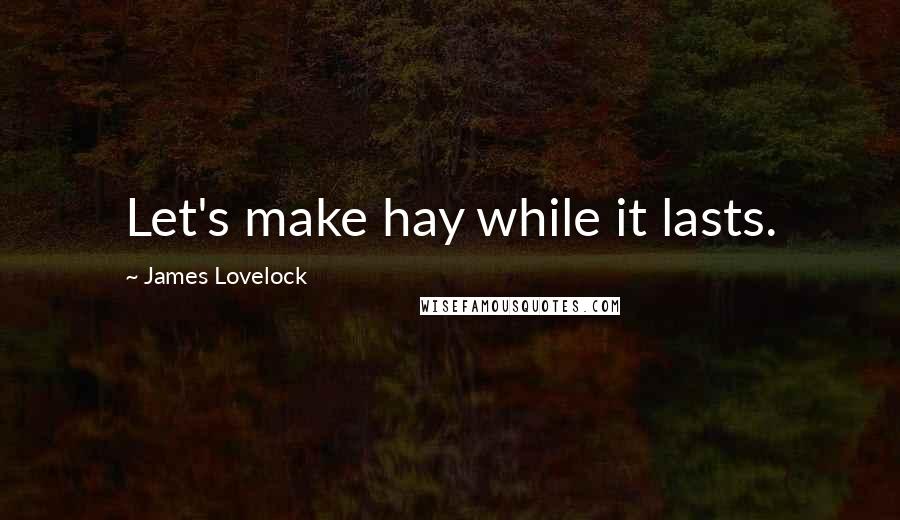 James Lovelock Quotes: Let's make hay while it lasts.