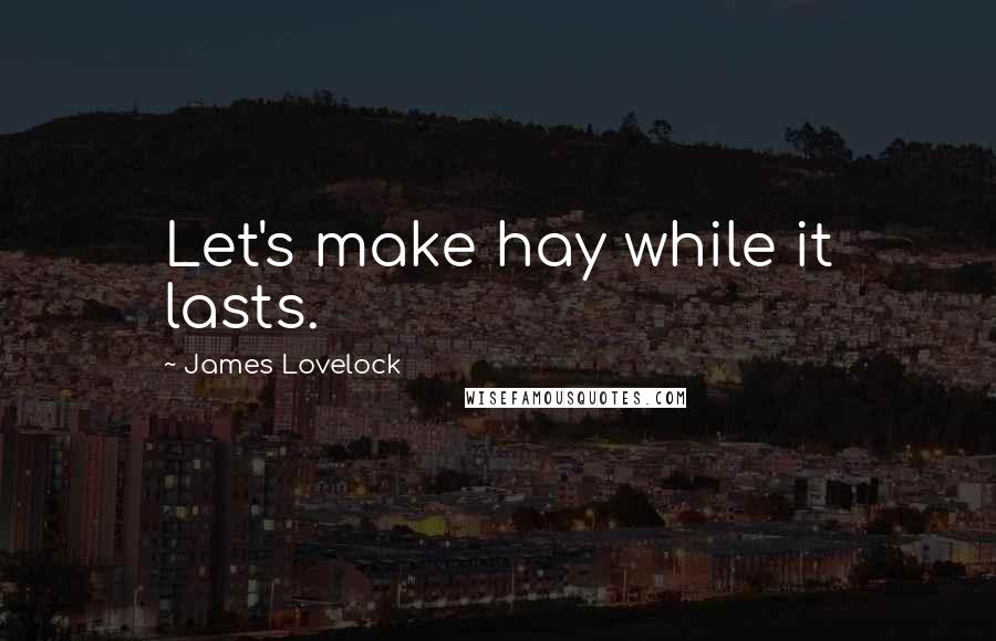 James Lovelock Quotes: Let's make hay while it lasts.