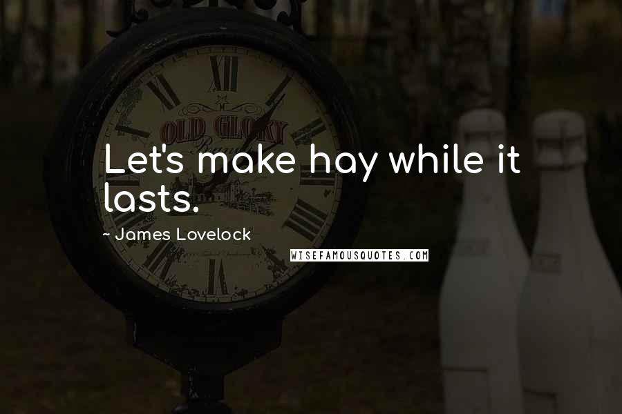 James Lovelock Quotes: Let's make hay while it lasts.