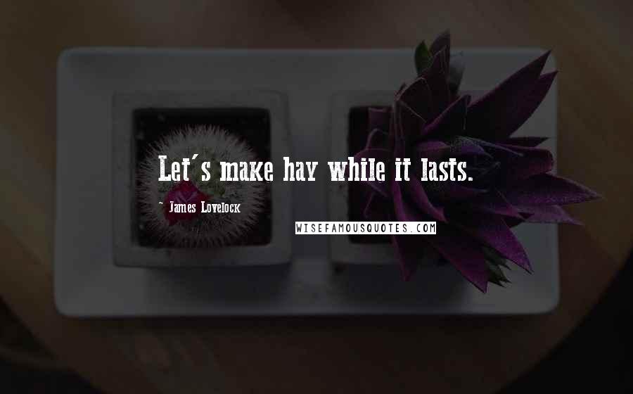 James Lovelock Quotes: Let's make hay while it lasts.