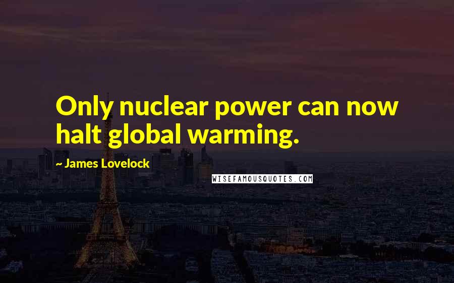 James Lovelock Quotes: Only nuclear power can now halt global warming.