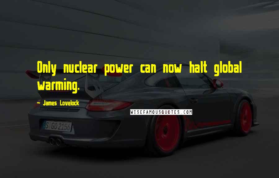 James Lovelock Quotes: Only nuclear power can now halt global warming.