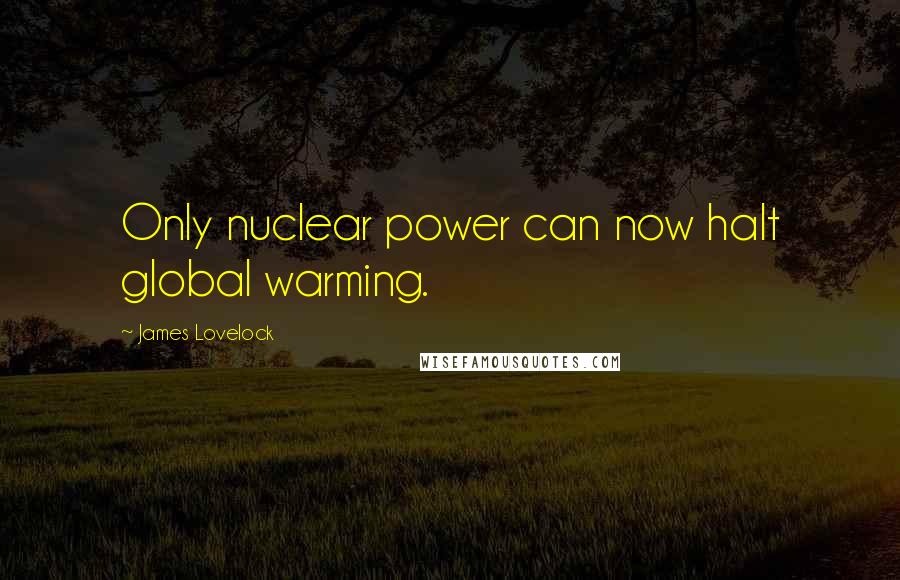 James Lovelock Quotes: Only nuclear power can now halt global warming.