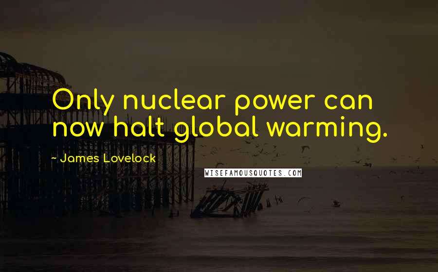 James Lovelock Quotes: Only nuclear power can now halt global warming.