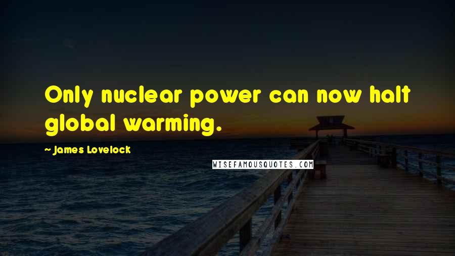 James Lovelock Quotes: Only nuclear power can now halt global warming.