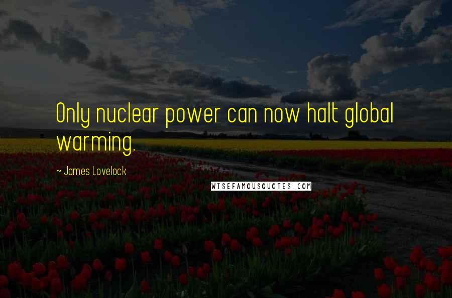 James Lovelock Quotes: Only nuclear power can now halt global warming.