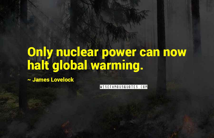 James Lovelock Quotes: Only nuclear power can now halt global warming.