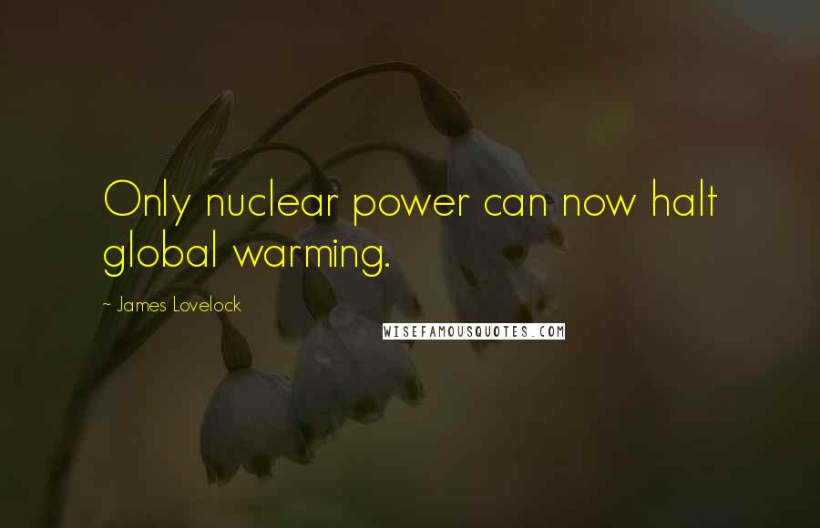 James Lovelock Quotes: Only nuclear power can now halt global warming.