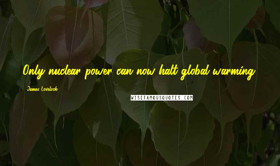 James Lovelock Quotes: Only nuclear power can now halt global warming.