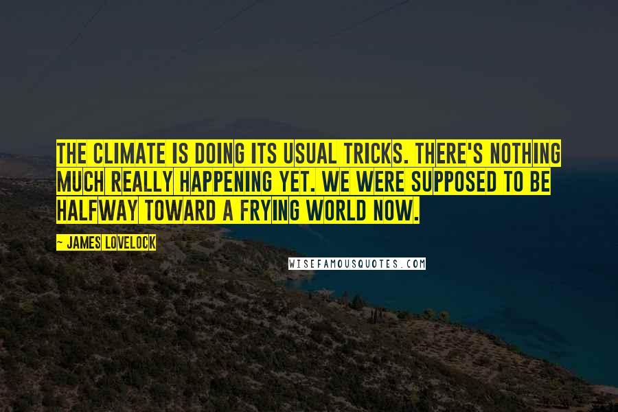James Lovelock Quotes: The climate is doing its usual tricks. There's nothing much really happening yet. We were supposed to be halfway toward a frying world now.