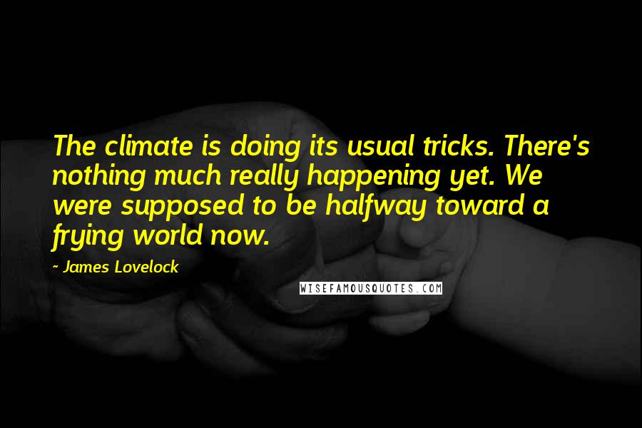 James Lovelock Quotes: The climate is doing its usual tricks. There's nothing much really happening yet. We were supposed to be halfway toward a frying world now.
