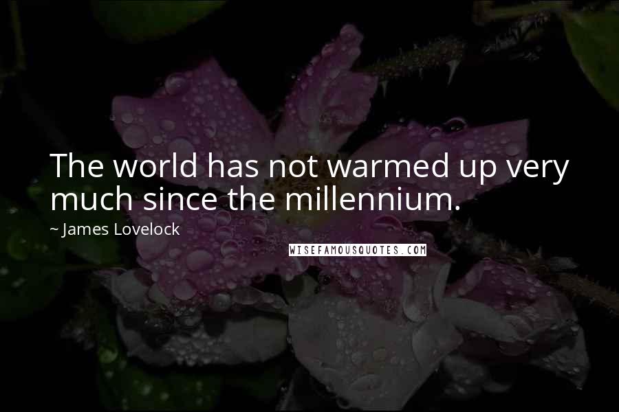 James Lovelock Quotes: The world has not warmed up very much since the millennium.