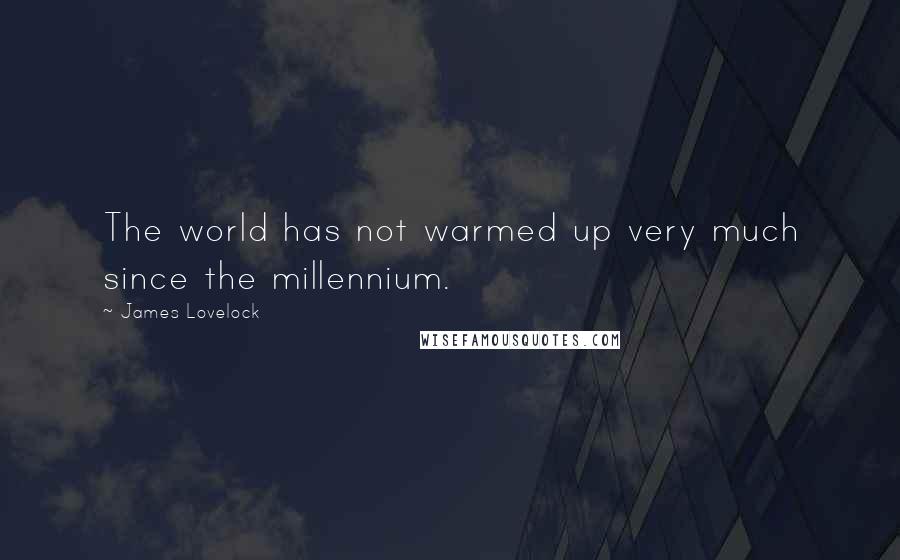 James Lovelock Quotes: The world has not warmed up very much since the millennium.