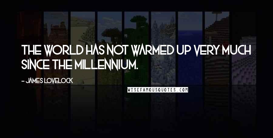 James Lovelock Quotes: The world has not warmed up very much since the millennium.