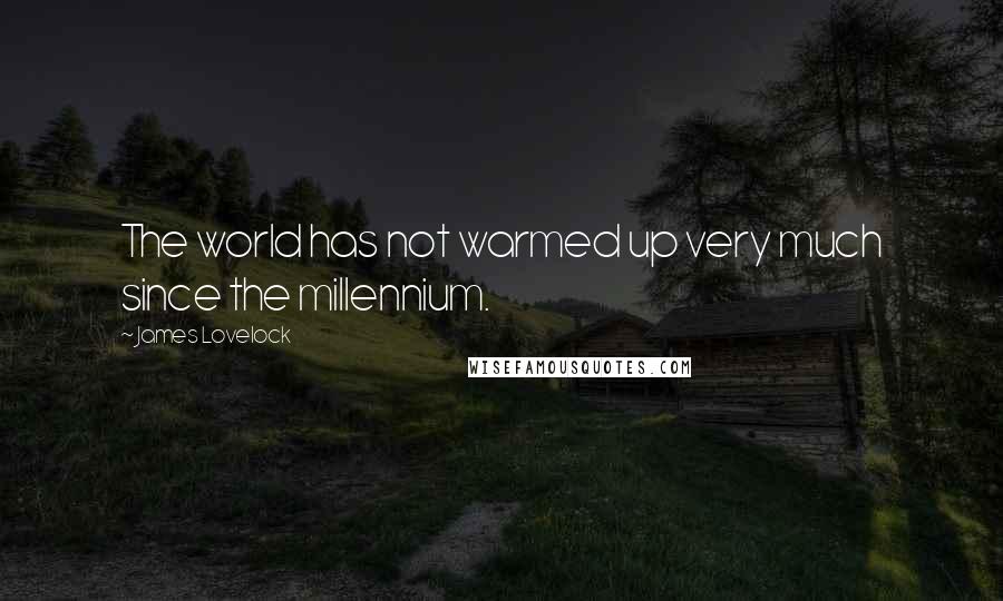 James Lovelock Quotes: The world has not warmed up very much since the millennium.