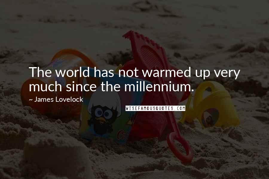 James Lovelock Quotes: The world has not warmed up very much since the millennium.