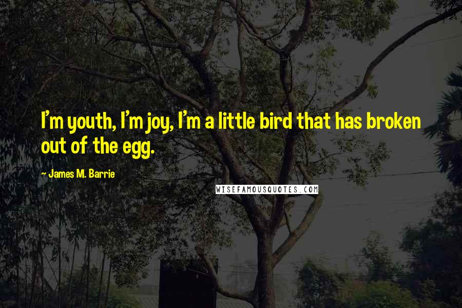 James M. Barrie Quotes: I'm youth, I'm joy, I'm a little bird that has broken out of the egg.