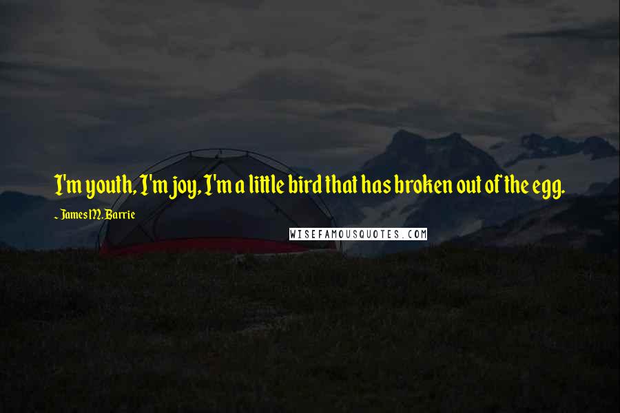 James M. Barrie Quotes: I'm youth, I'm joy, I'm a little bird that has broken out of the egg.