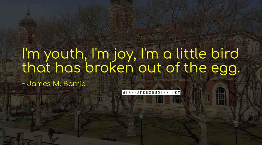 James M. Barrie Quotes: I'm youth, I'm joy, I'm a little bird that has broken out of the egg.
