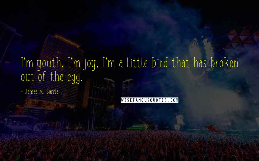 James M. Barrie Quotes: I'm youth, I'm joy, I'm a little bird that has broken out of the egg.