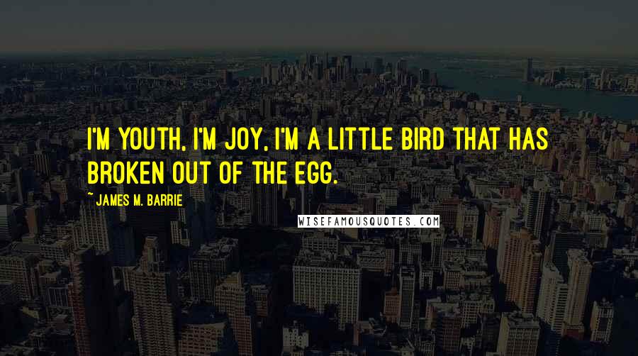 James M. Barrie Quotes: I'm youth, I'm joy, I'm a little bird that has broken out of the egg.