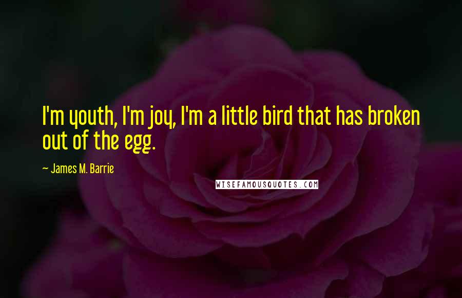 James M. Barrie Quotes: I'm youth, I'm joy, I'm a little bird that has broken out of the egg.