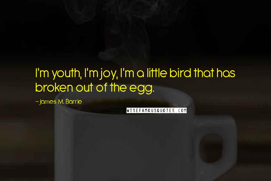 James M. Barrie Quotes: I'm youth, I'm joy, I'm a little bird that has broken out of the egg.