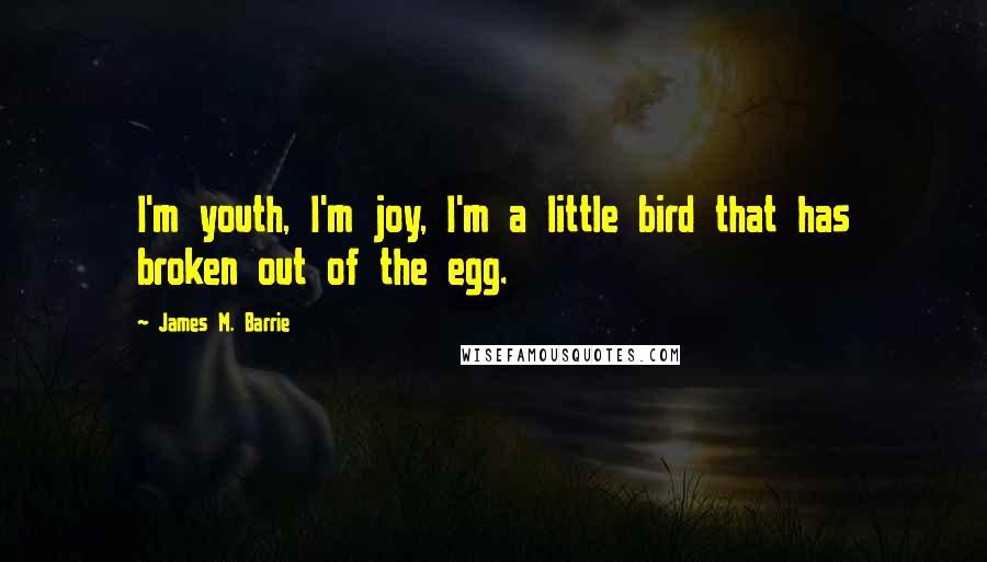 James M. Barrie Quotes: I'm youth, I'm joy, I'm a little bird that has broken out of the egg.