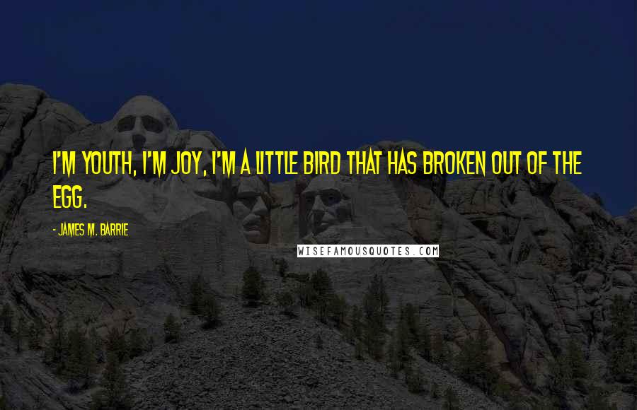 James M. Barrie Quotes: I'm youth, I'm joy, I'm a little bird that has broken out of the egg.