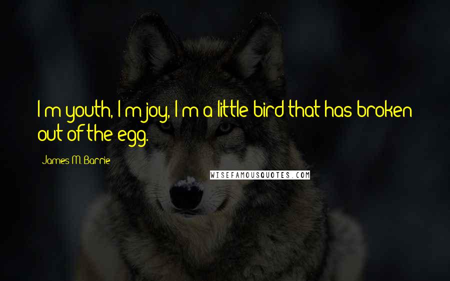 James M. Barrie Quotes: I'm youth, I'm joy, I'm a little bird that has broken out of the egg.