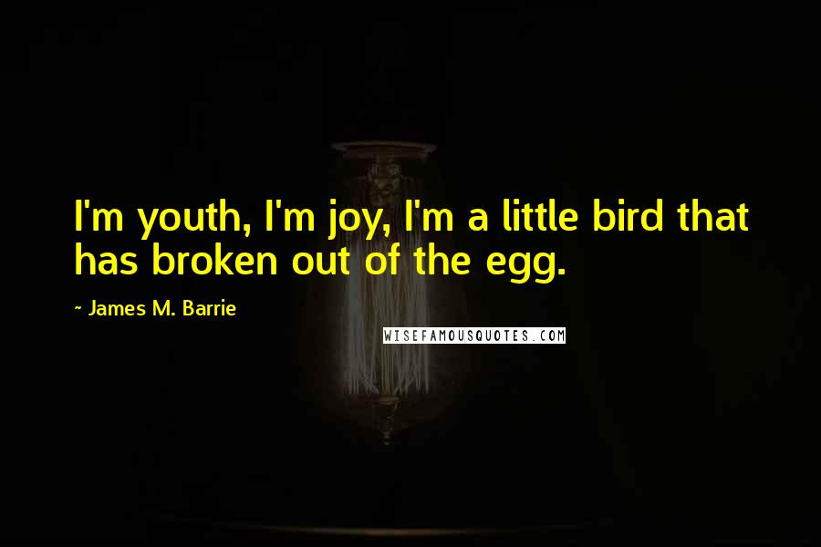 James M. Barrie Quotes: I'm youth, I'm joy, I'm a little bird that has broken out of the egg.